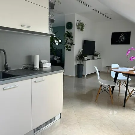 Apartment Leo Free Parking - President Palace *
