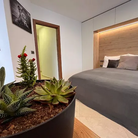 Leo Free Parking - President Palace Apartamento *