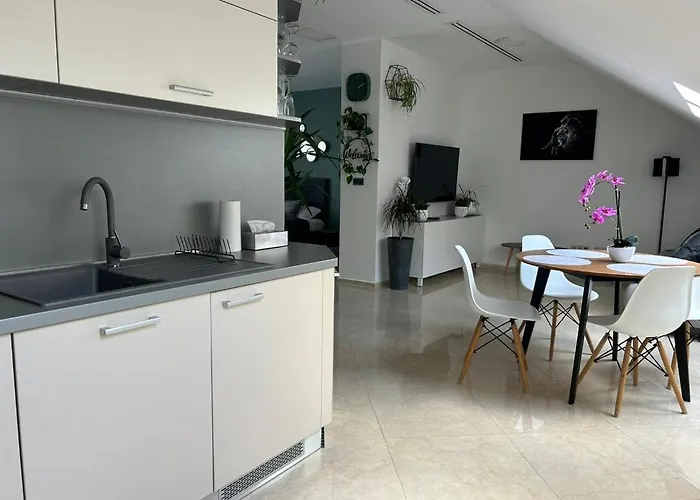 Apartament Leo Free Parking - President Palace *