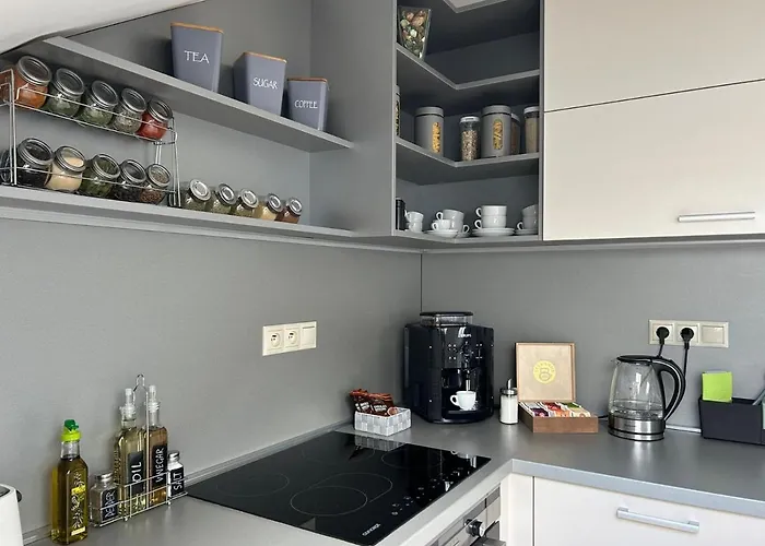 Leo Free Parking - President Palace