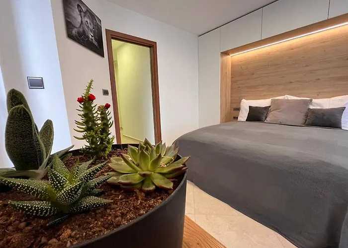 Leo Free Parking - President Palace Appartement *