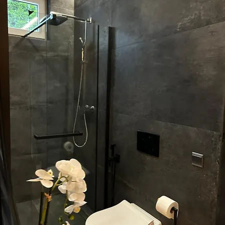 Leo Free Parking - President Palace براتسيلافا