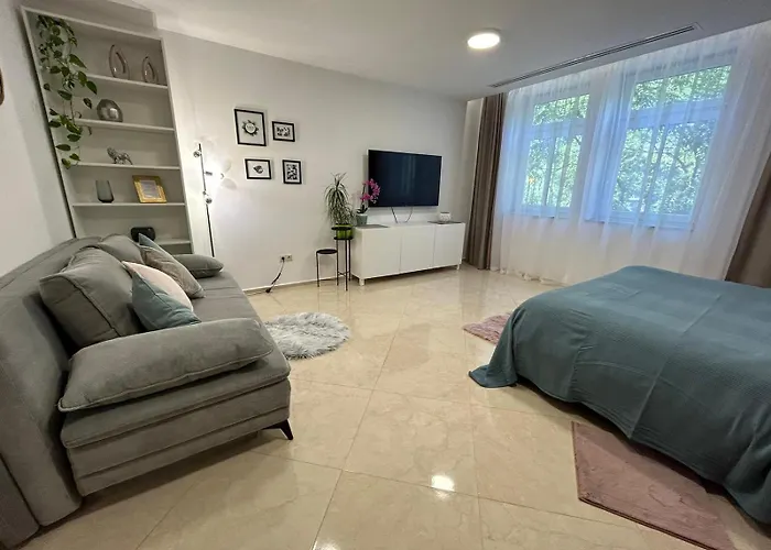 Leo Free Parking - President Palace * Pressburg